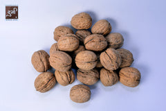 In Shell Walnuts premium