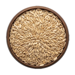 CUCUMBER SEEDS PLAIN