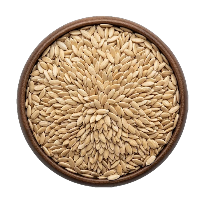 CUCUMBER SEEDS PLAIN