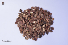 Marking Nuts (Godambi)spl