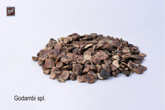 Marking Nuts (Godambi)spl