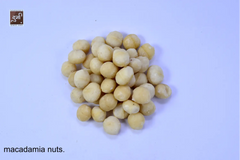 Macadamia Nuts