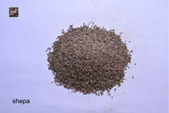 fennel(shep regular)