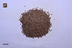 Flax Seeds (jawas)