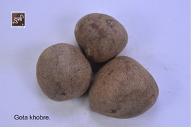 Gota Khobre (Coconut)