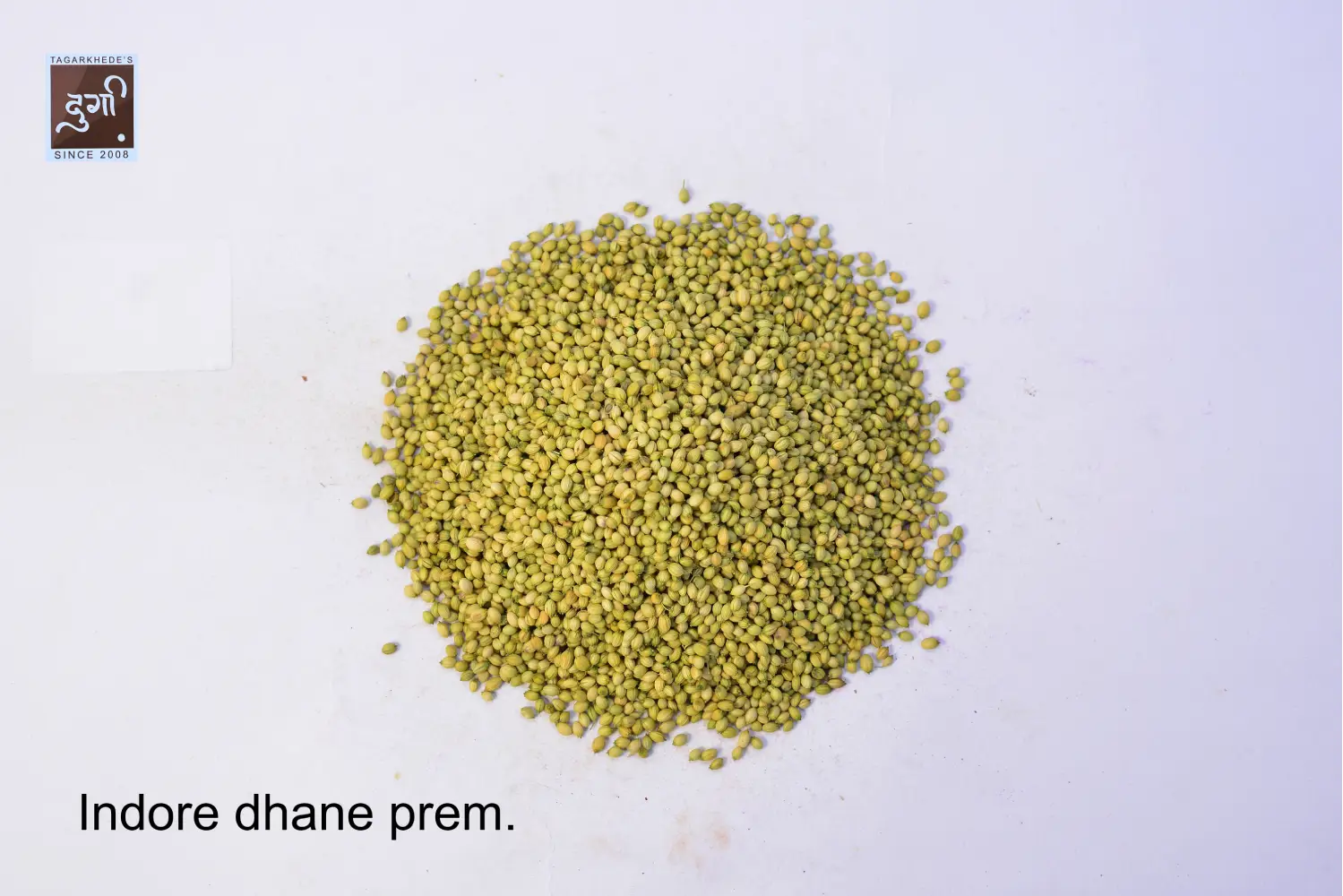 Indore Dhaniya Premium