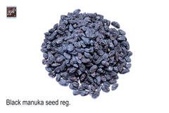 Black Raisins Seed Regular