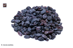 Black Raisins Seedless Regular