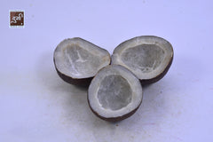 Gota Khobre (Dried Coconut)