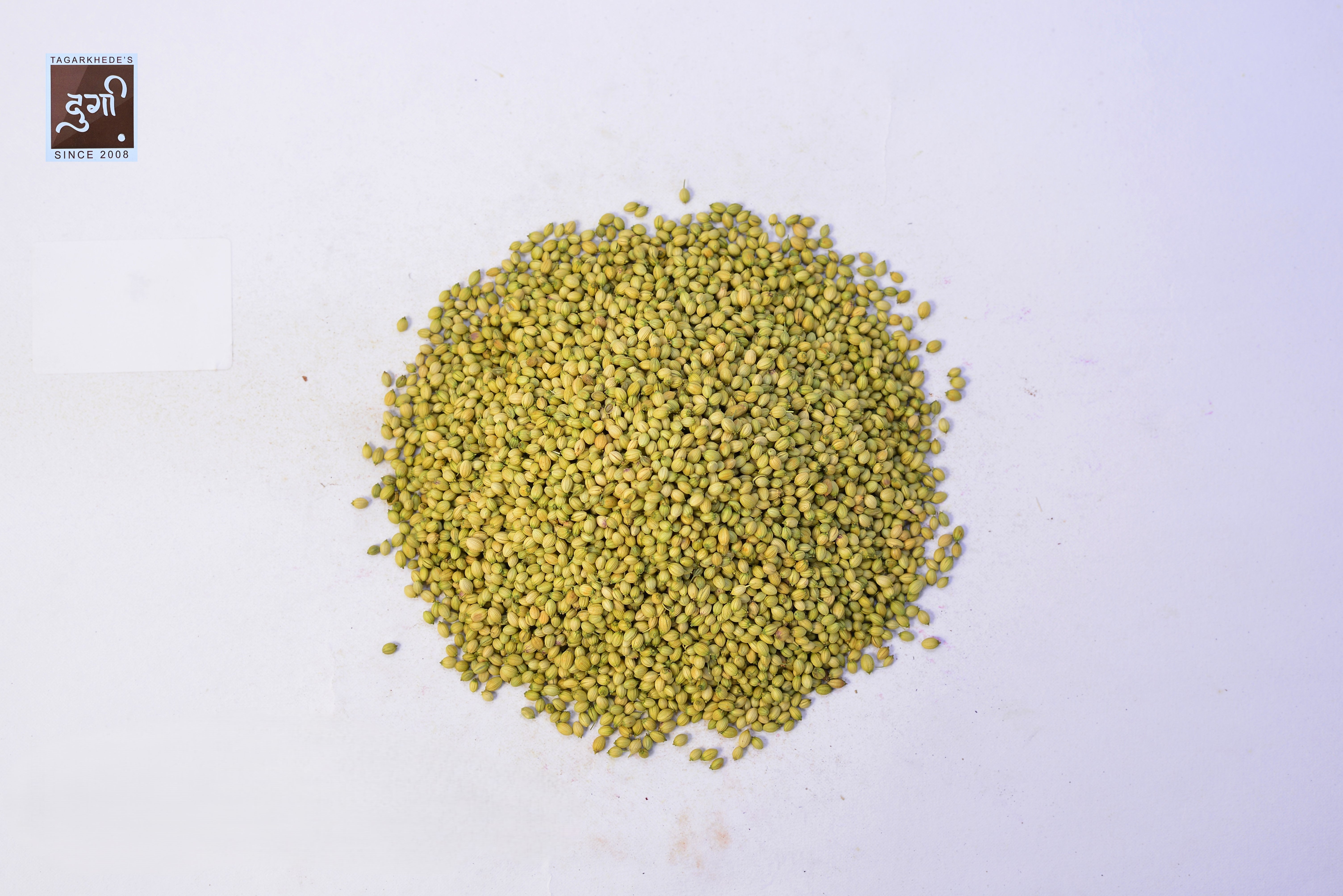 Indore Dhaniya Premium