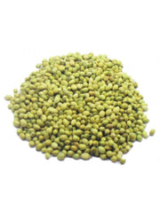 Indore Dhaniya Premium