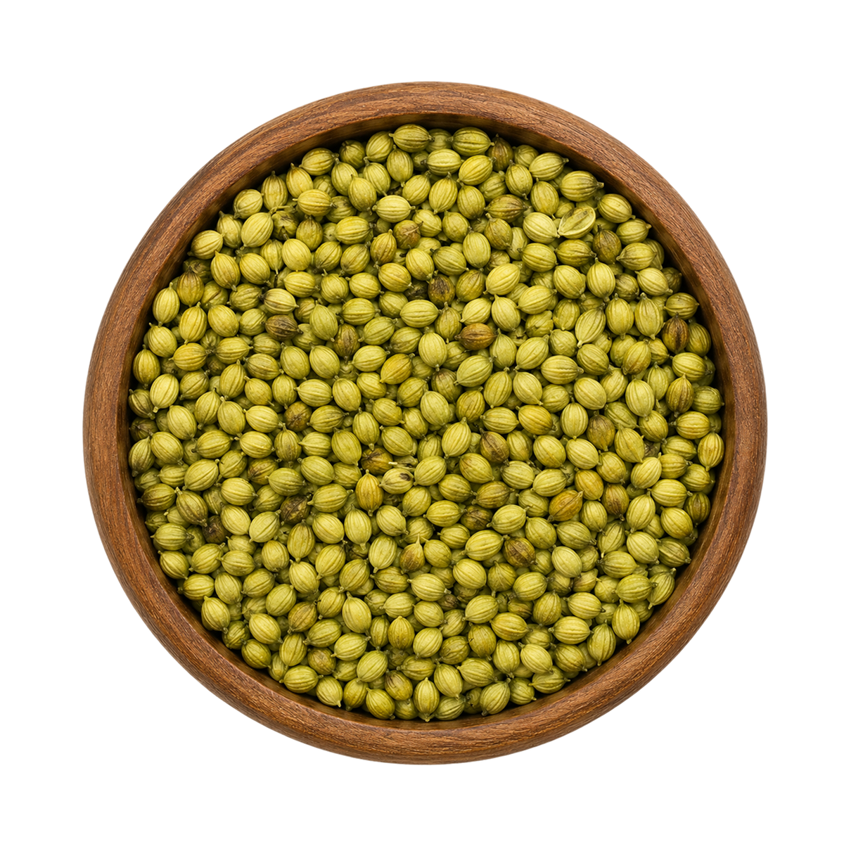 Premium Indori Coriander Seeds