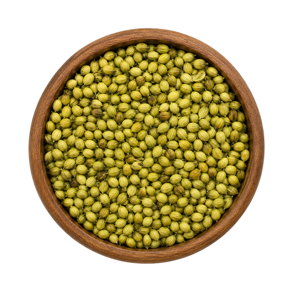 Premium Indori Coriander Seeds