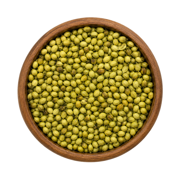 Premium Indori Coriander Seeds
