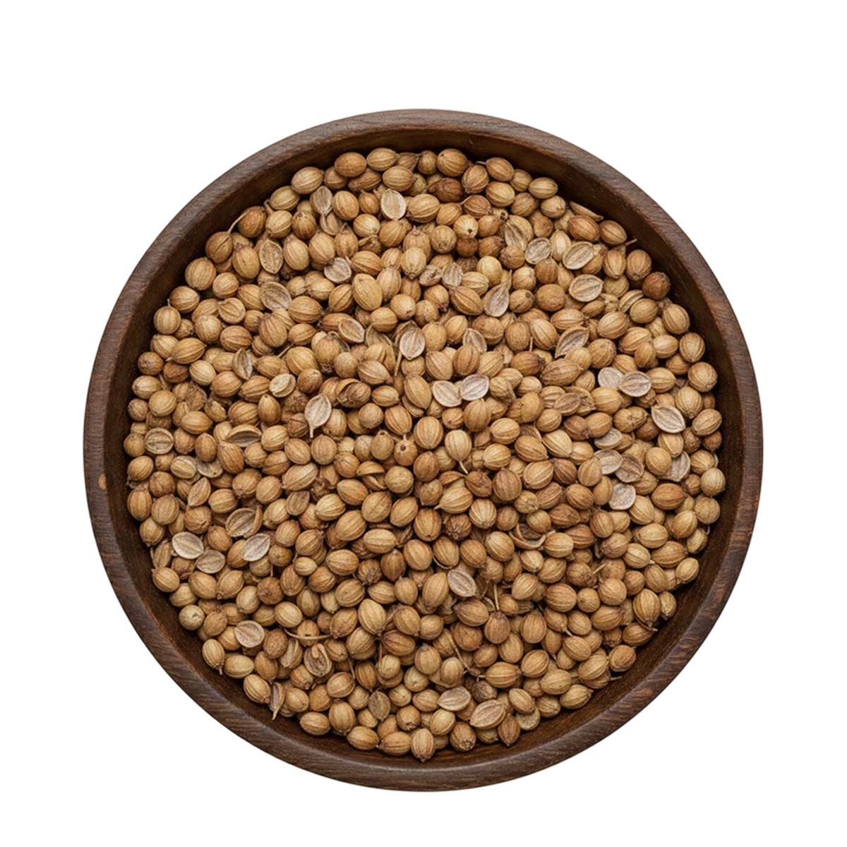 Golden Coriander Seeds