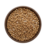 Golden Coriander Seeds