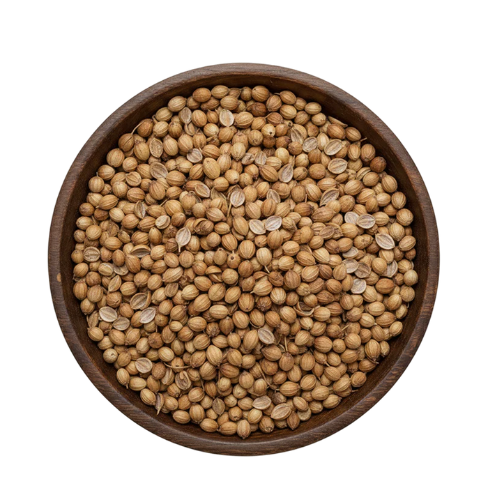 Golden Coriander Seeds