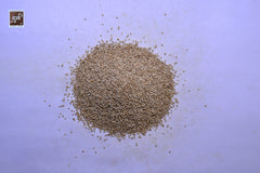 Quinoa Seeds