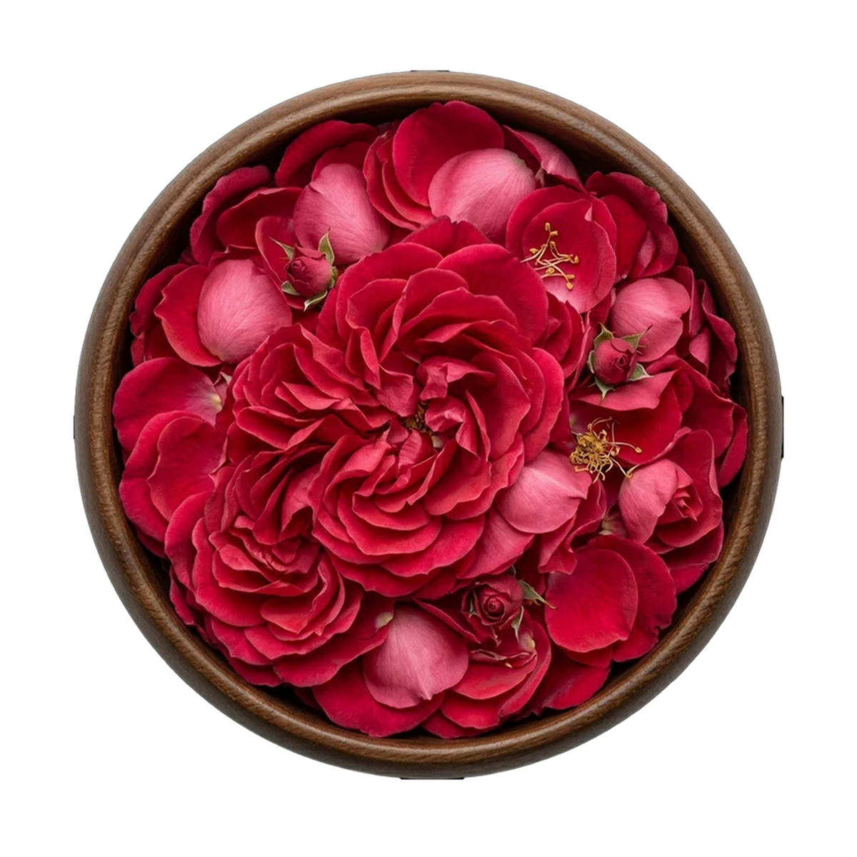 ROSE PETALS