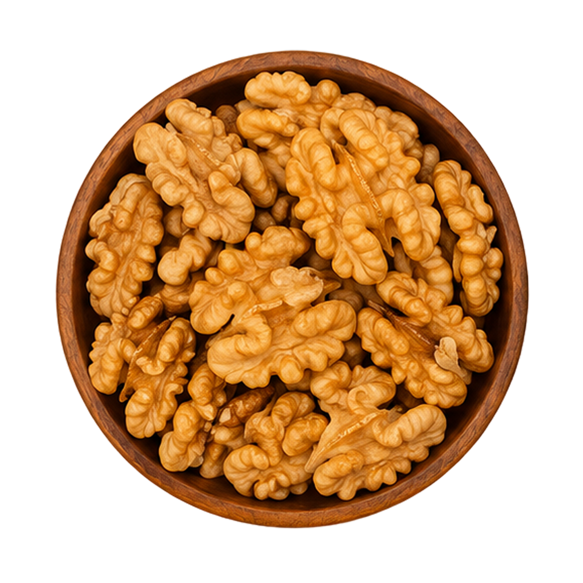 Walnut Ex Bold