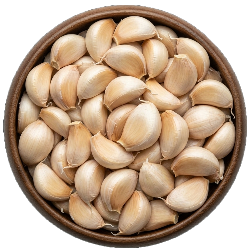 GARLIC