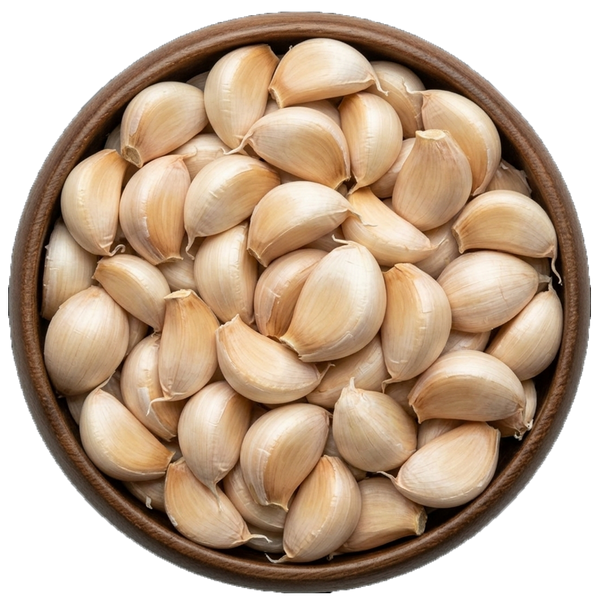 GARLIC
